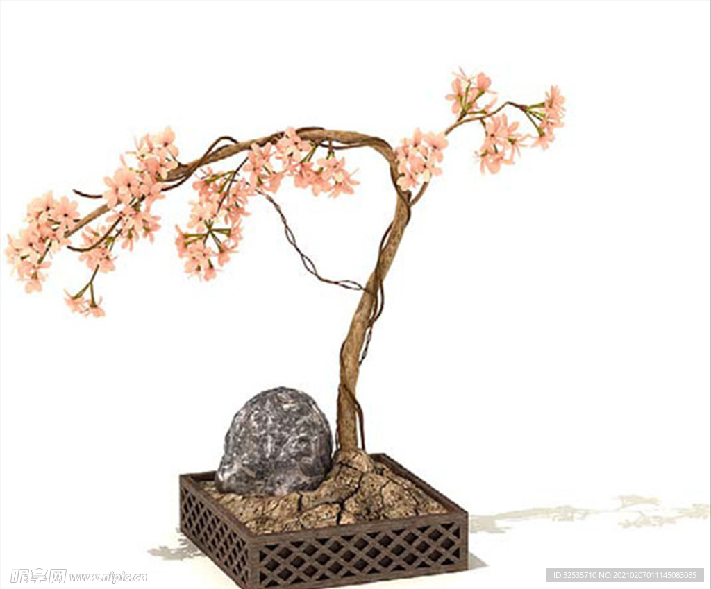 樱花