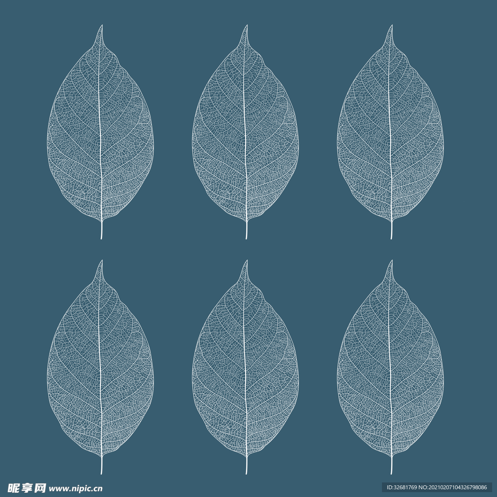树叶装饰画