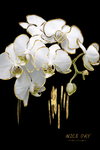 花卉玄关