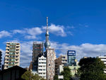 晴空下的东京都晴空塔