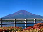 深秋的富士山与山中湖