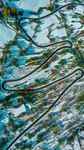 国外的雪路