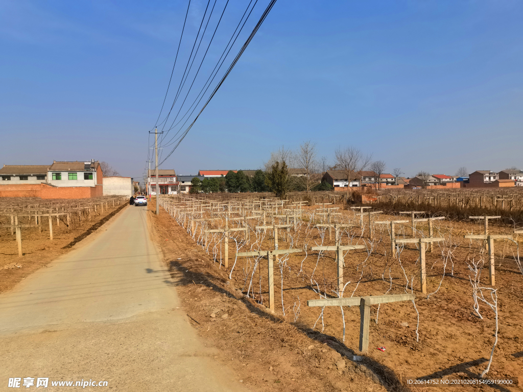 蓝天下的乡村道路风景