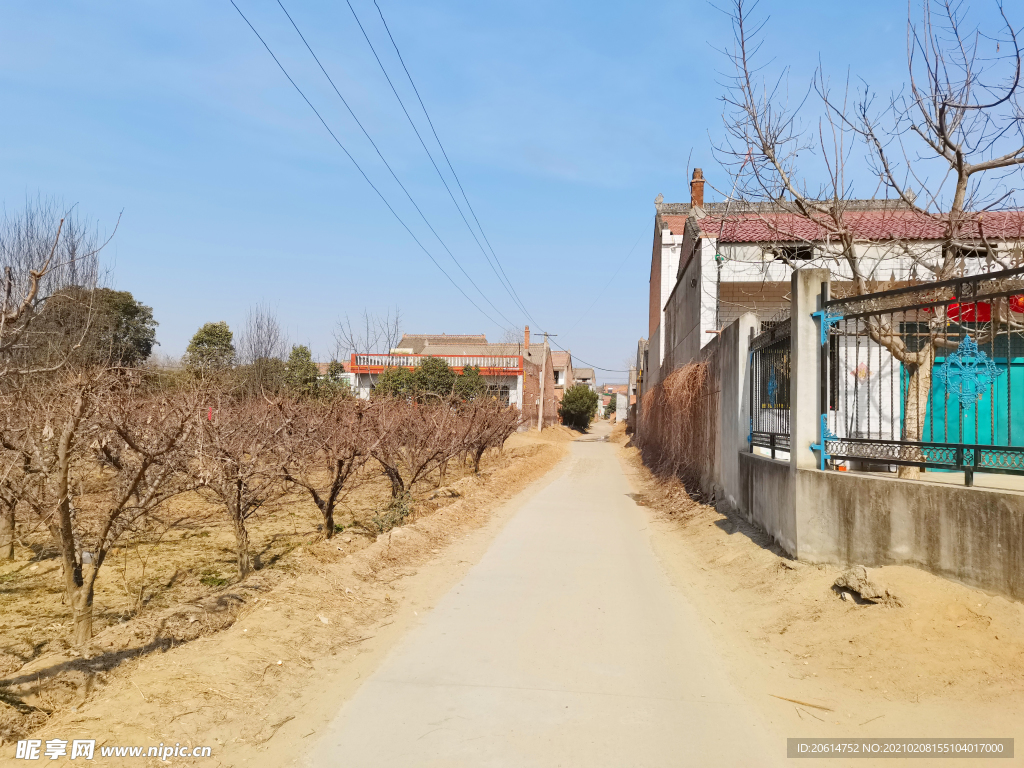 乡村道路风景