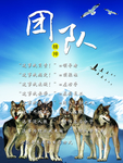 企业狼文化