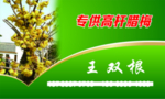 腊梅名片
