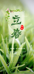 立春