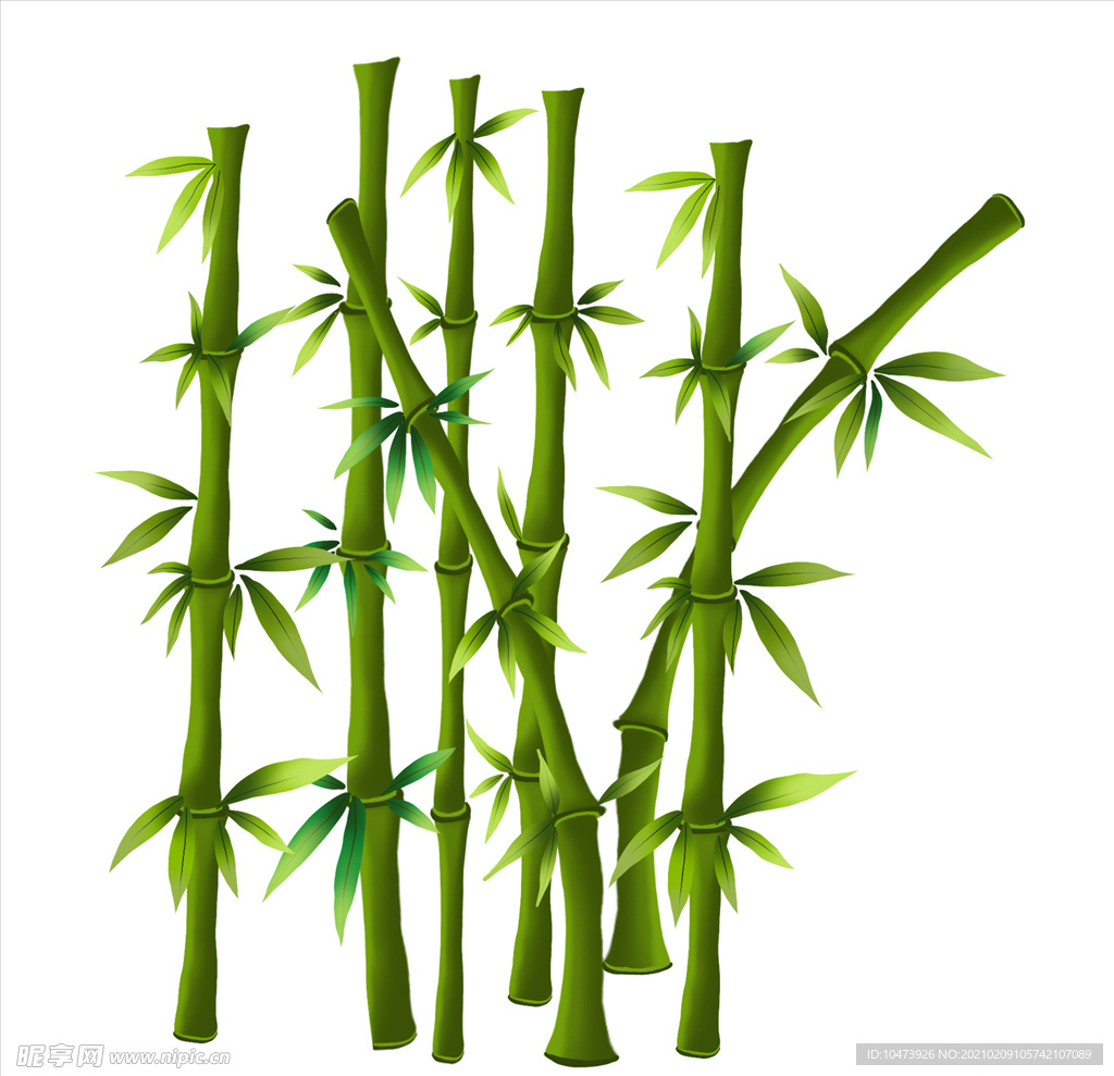手绘卡通竹子