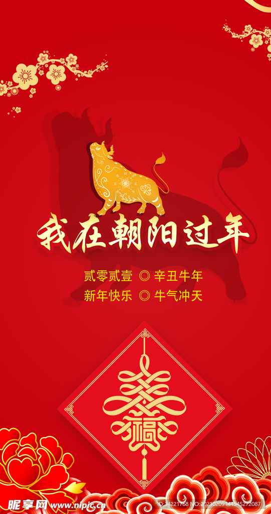 牛年 过大年 春节 新年