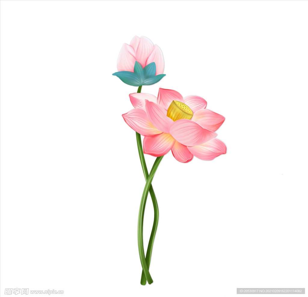 荷花元素