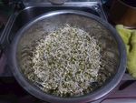 豆芽
