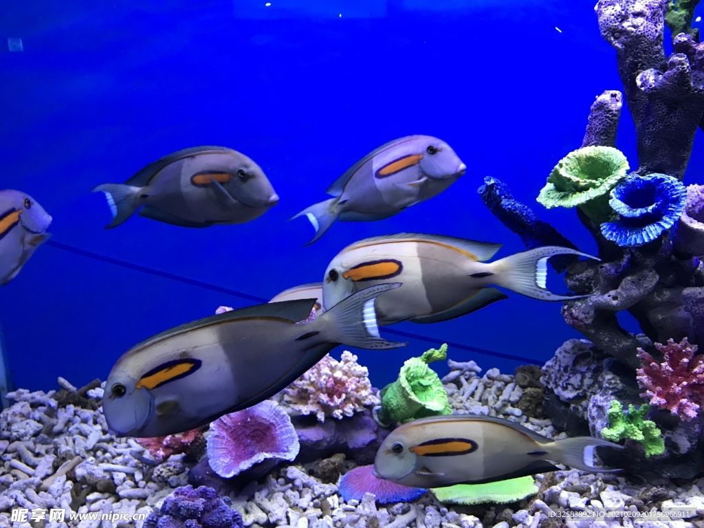水族馆