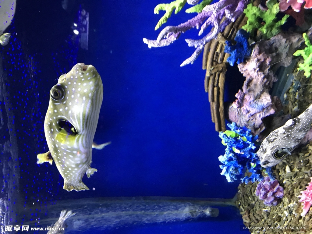 水族馆