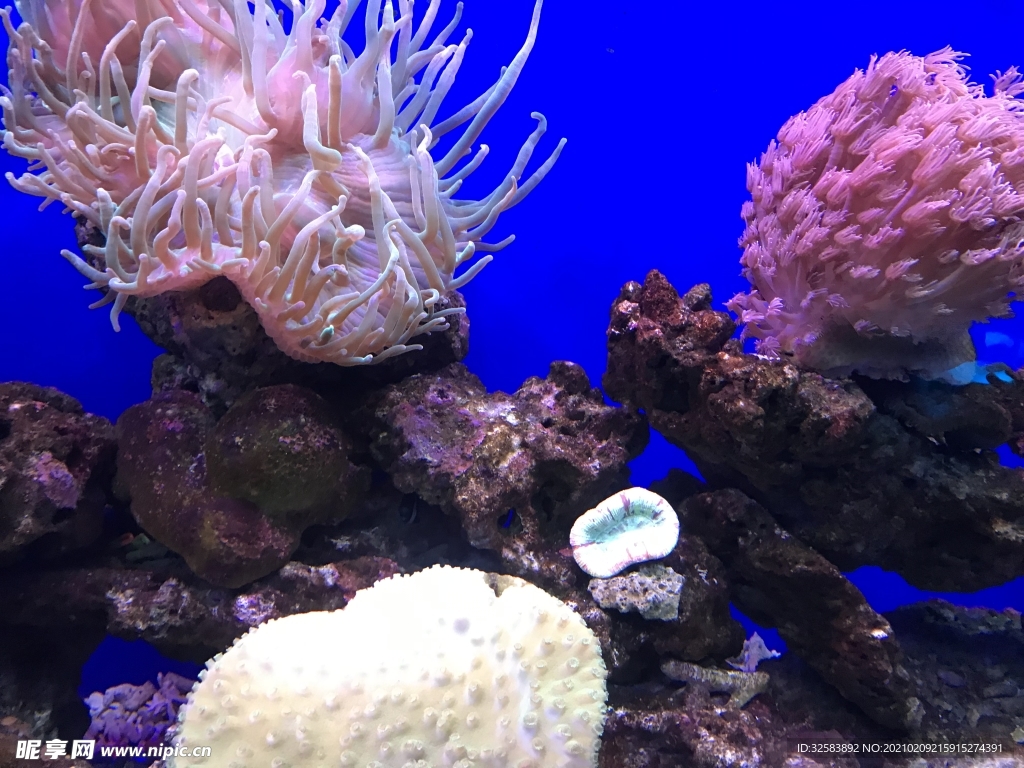 水族馆