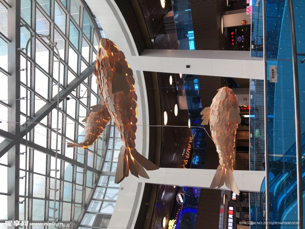 商场 大厅 装饰鱼