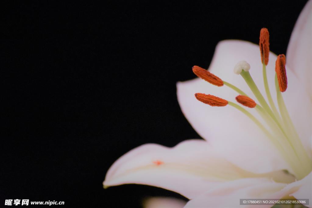 花卉