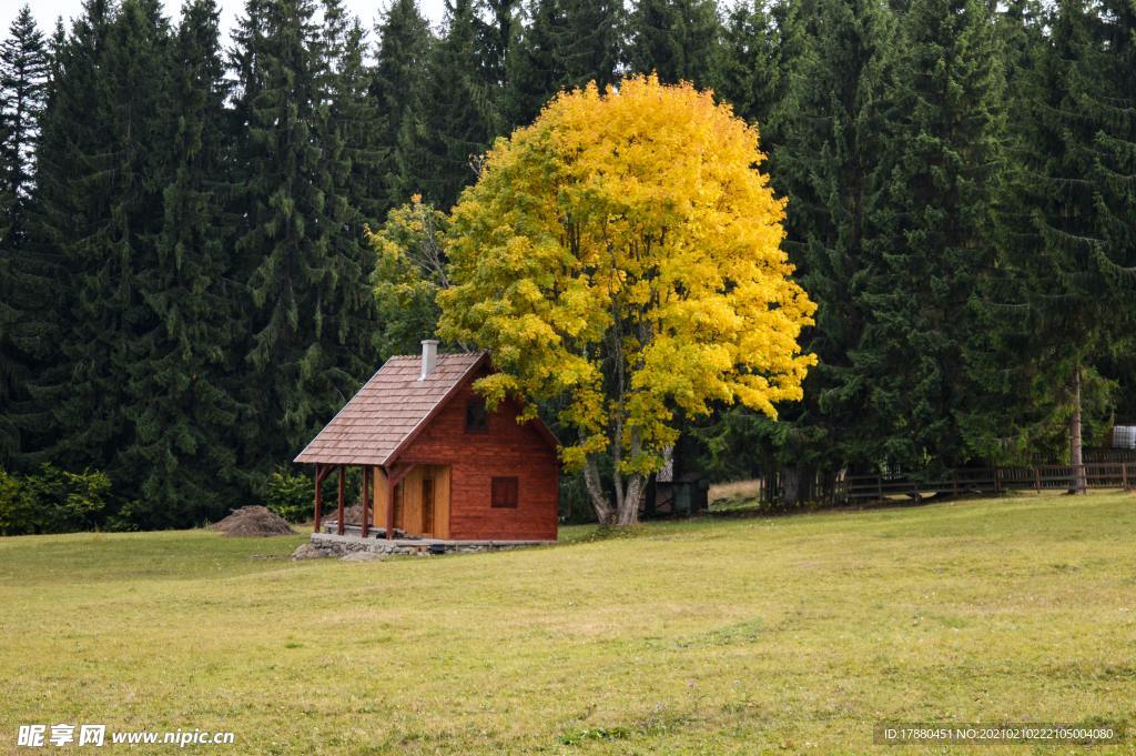 小屋