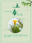 立春