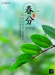 立春