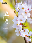 立春