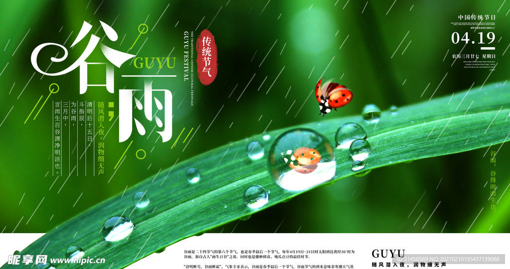 谷雨