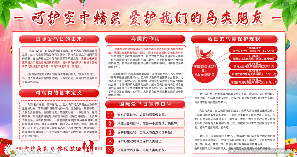 爱护鸟类朋友