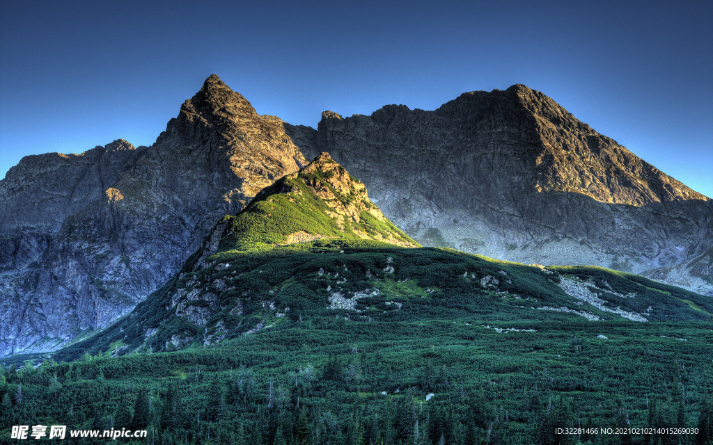 山
