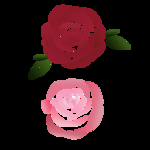 情人节