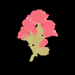 情人节