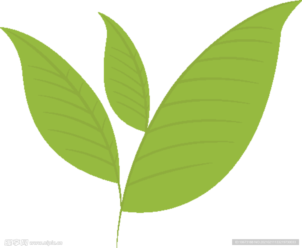 抹茶相关