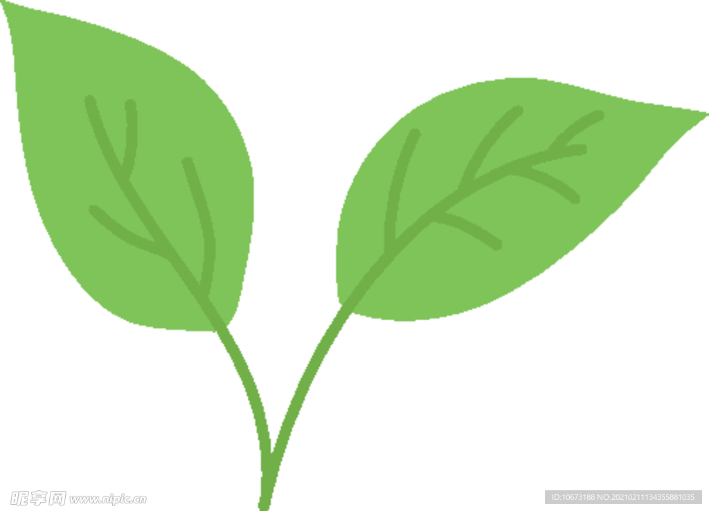 抹茶相关