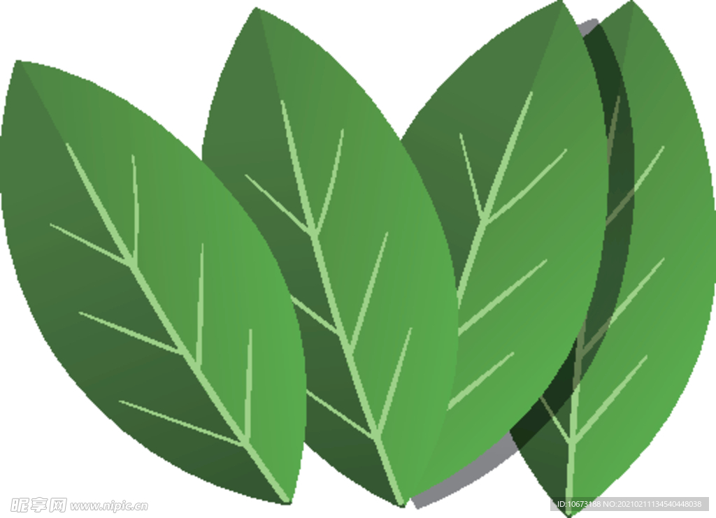 抹茶相关