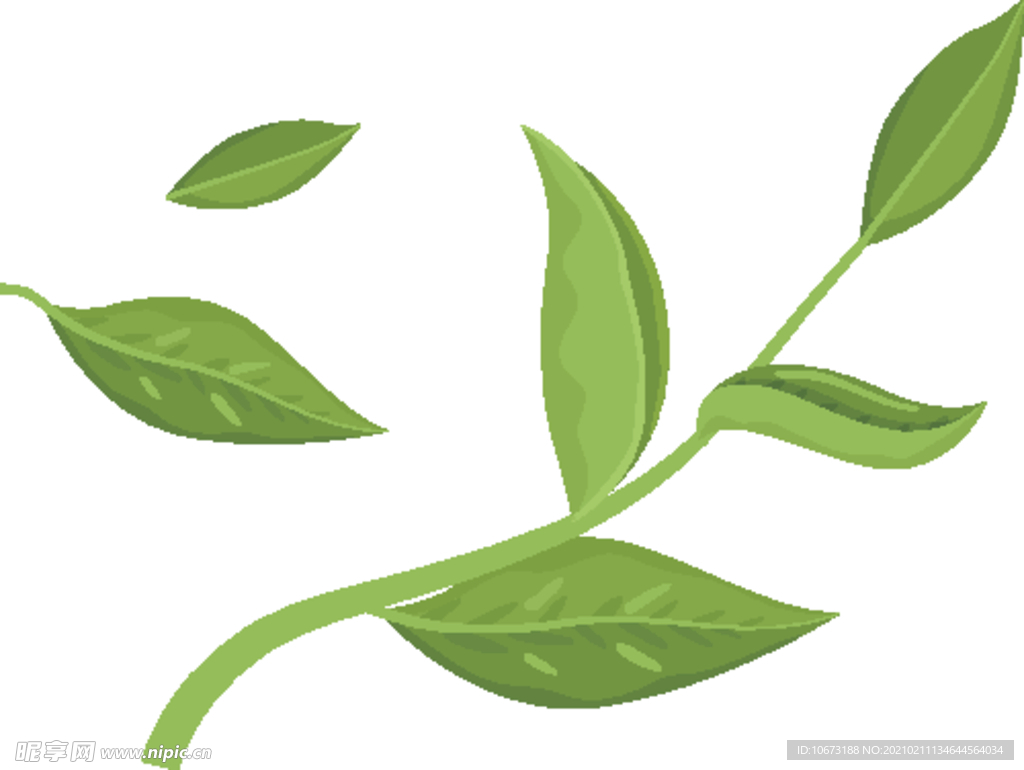 抹茶相关