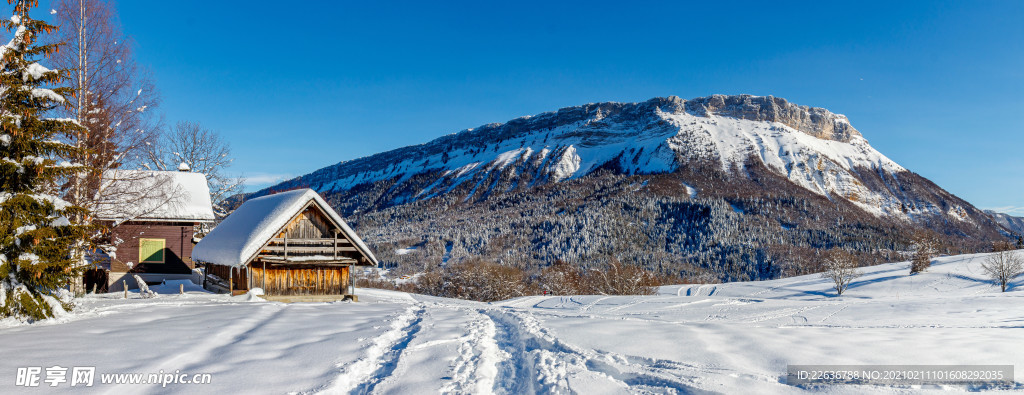 雪景