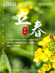 立春