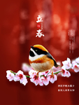 立春