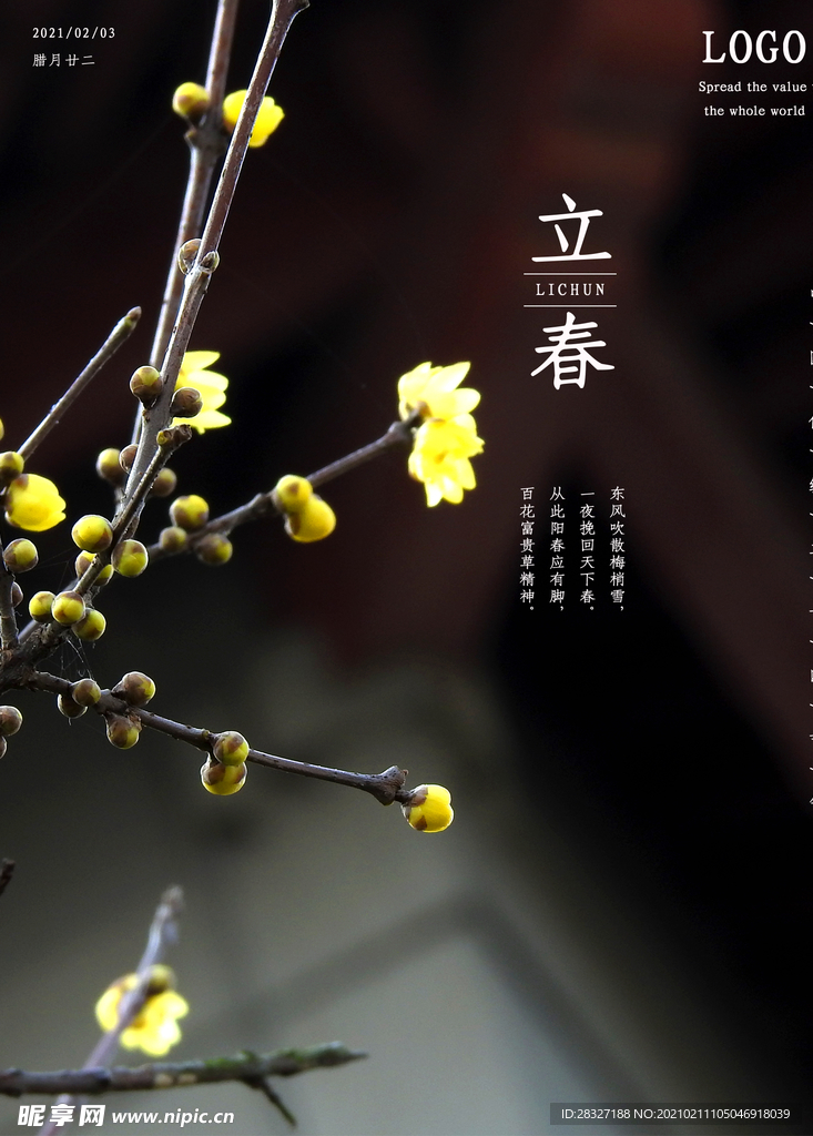 立春
