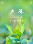 立春