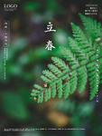 立春