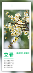 立春