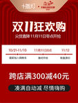 双11 狂欢购
