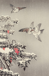 土屋光逸版画