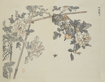 花鸟图