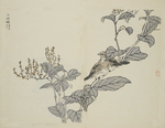 花鸟图