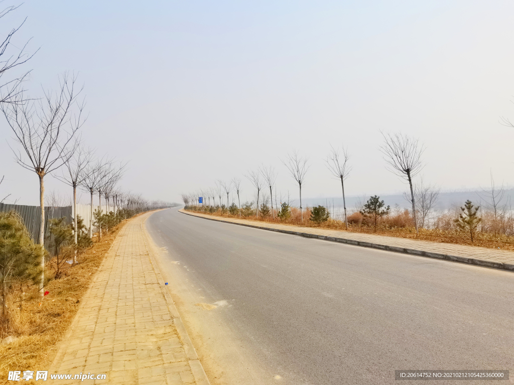 蓝天下的乡村道路风景