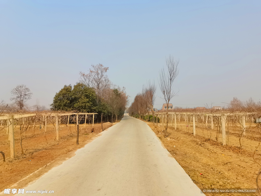 美丽的乡村风景