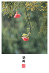 立春