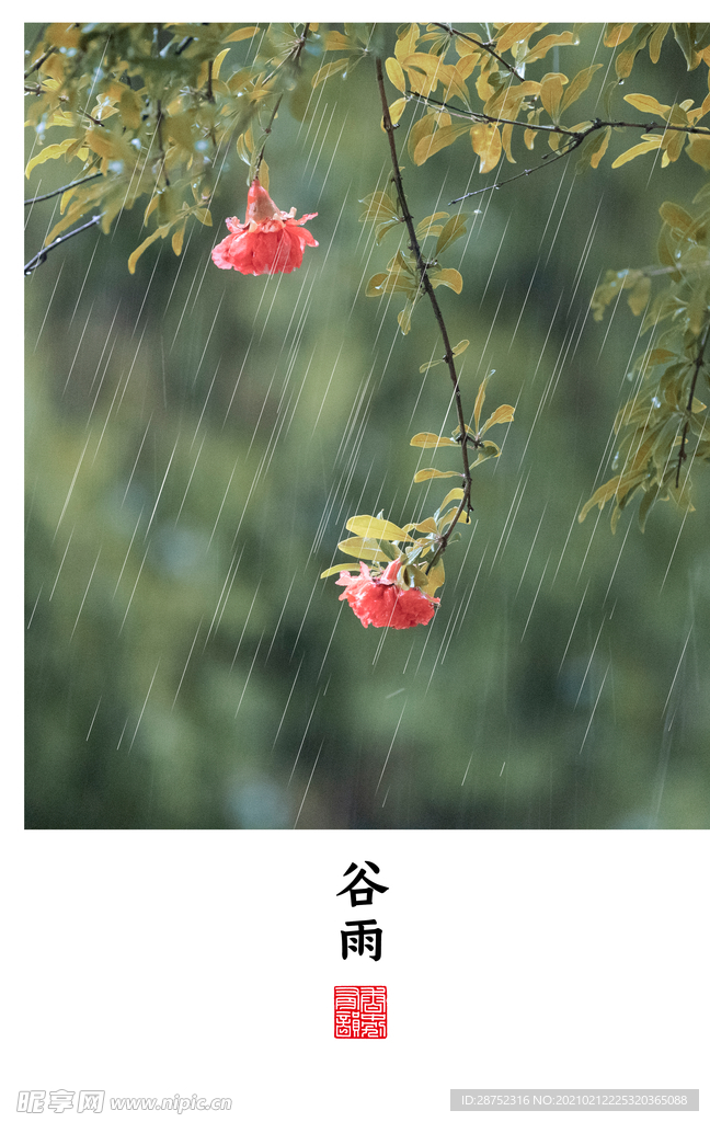 立春