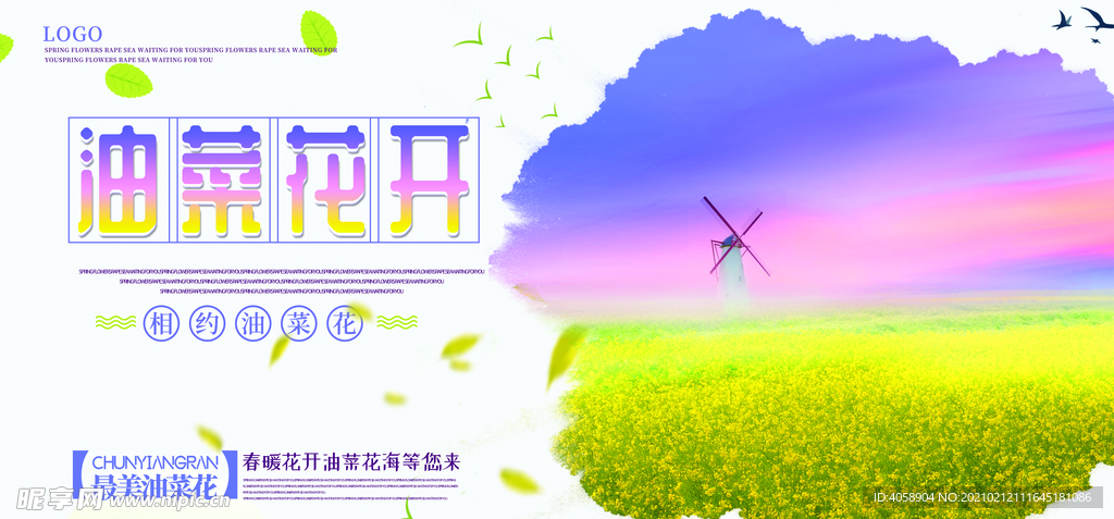 油菜花开