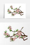 立春